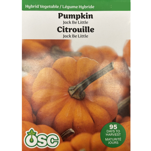 OSC Seeds Pumpkin Jack Be Little Pkg.
