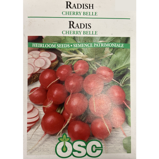 OSC Seeds Radish Cherry Belle Pkg.