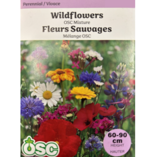 OSC Seeds Mix Wildflower