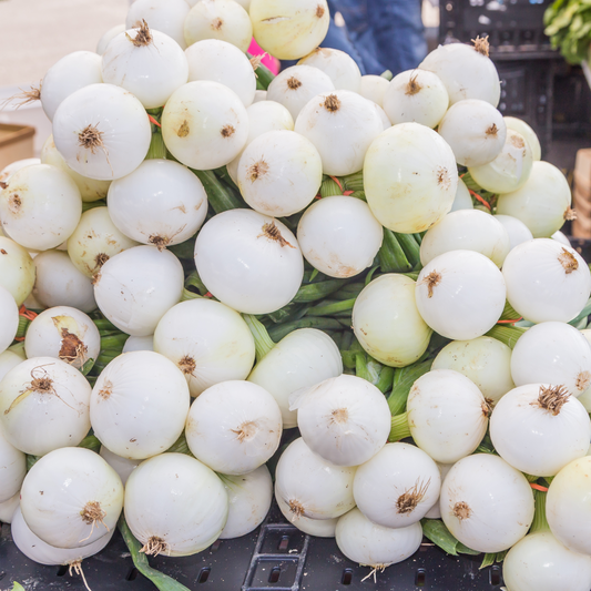 Onion 'White Sweet Spanish'