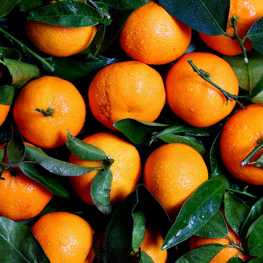Citrus 'Orange'