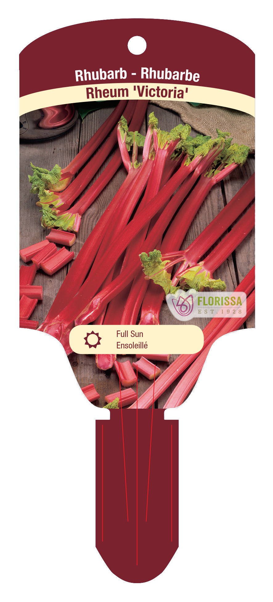 Rhubarb 'Victoria'