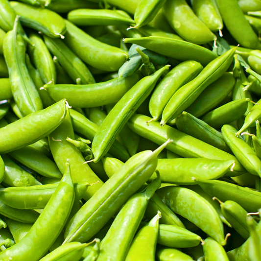 Pea 'Sugar Snap'
