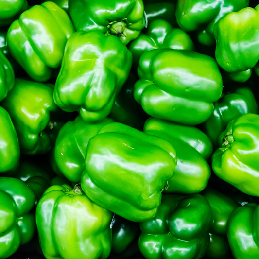 Pepper Bell 'Better Belle IV'