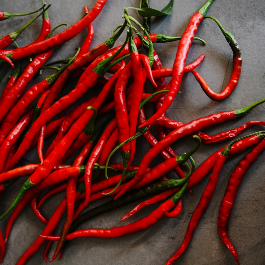 Pepper Hot 'Cayenne Long Slim'