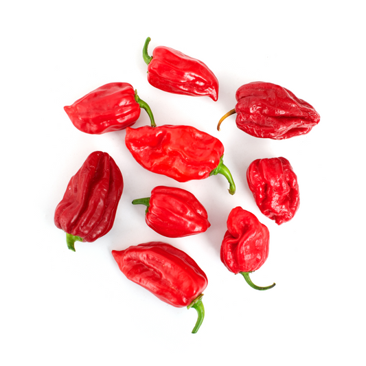 Pepper Hot 'Habanero Red'