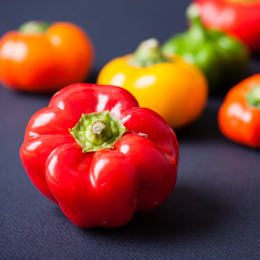 Pepper Sweet 'Hungarian Cheese Mix'