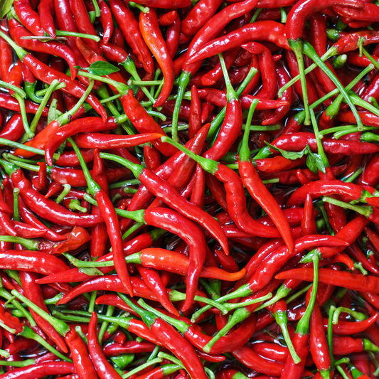 Pepper Chili 'Thai'