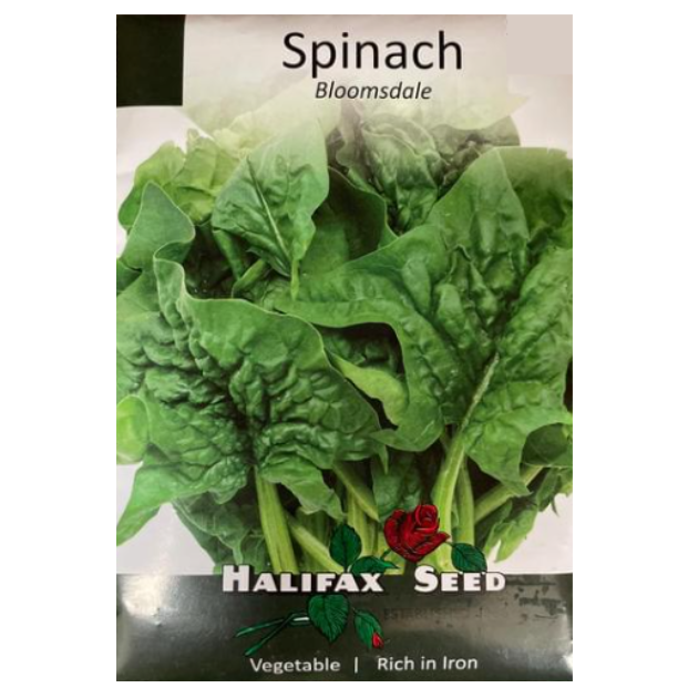 Halifax Seed Spinach Bloomsdale