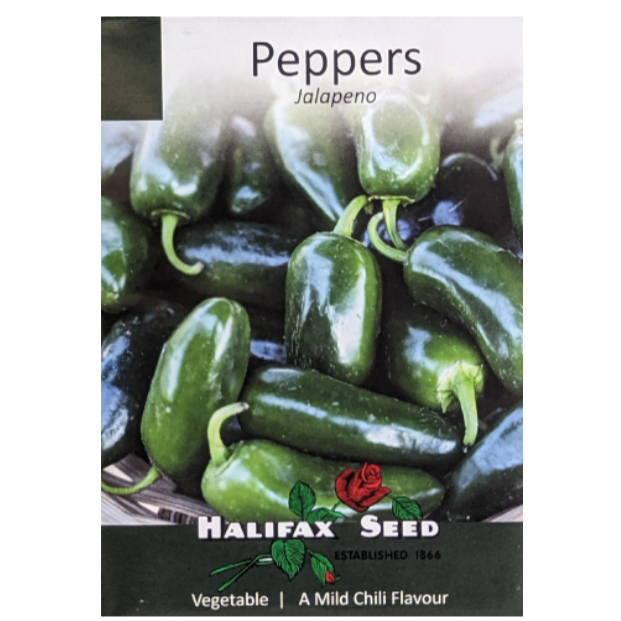 Halifax Seed Pepper Jalapeno