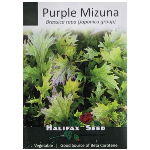 Halifax Seed Mizuna Purple