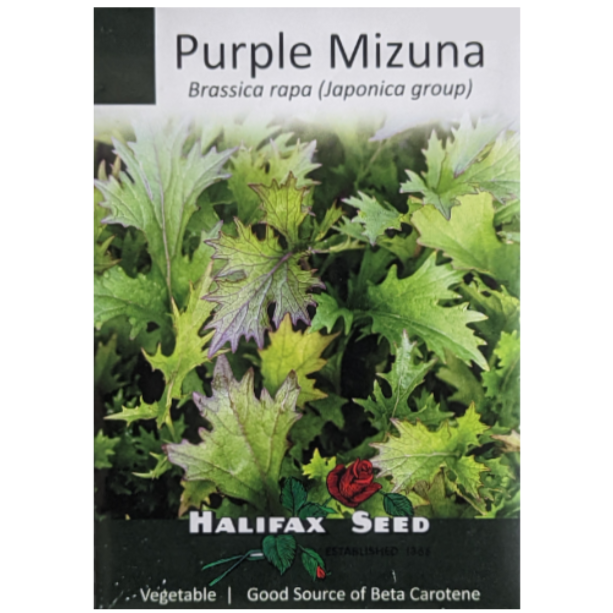 Halifax Seed Mizuna Purple Pkg.