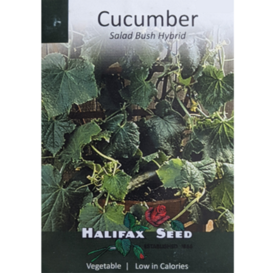 Halifax Seed Cucumber Salad Bush Hybrid