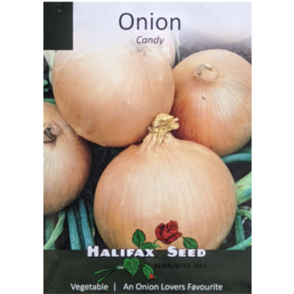 Halifax Seed Onion Candy