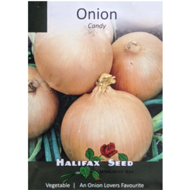 Halifax Seed Onion Candy Pkg.