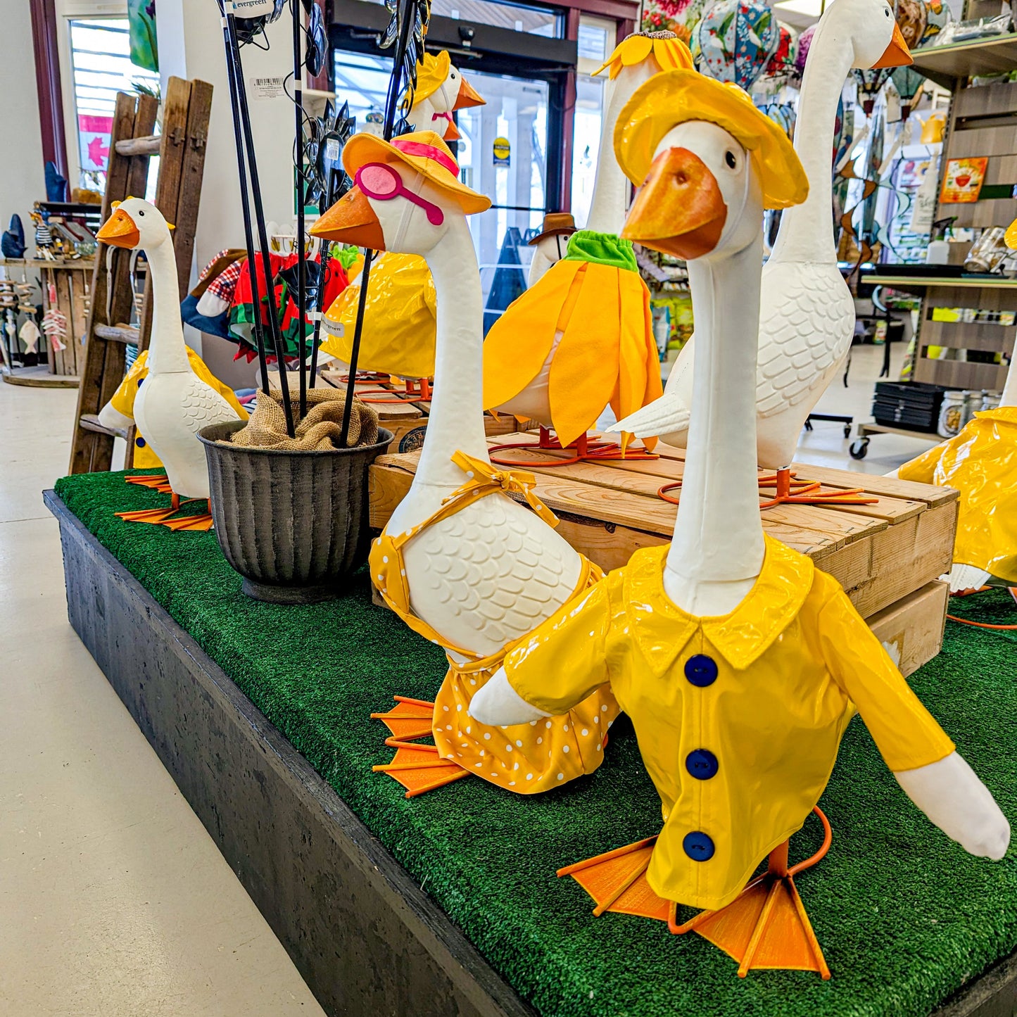 Giddy the Goose