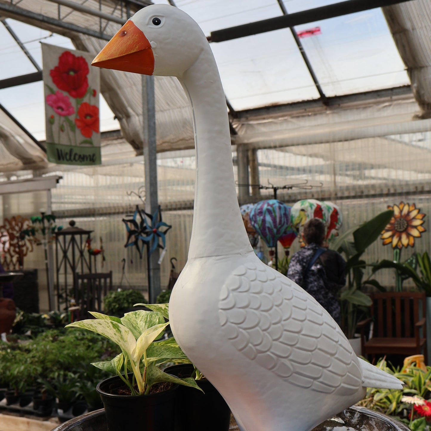 Giddy the Goose