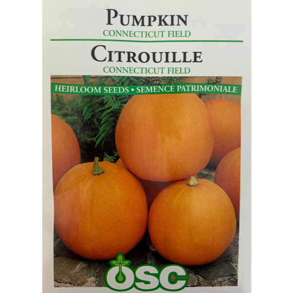 OSC Seeds Pumpkin Connecticut Field Pkg