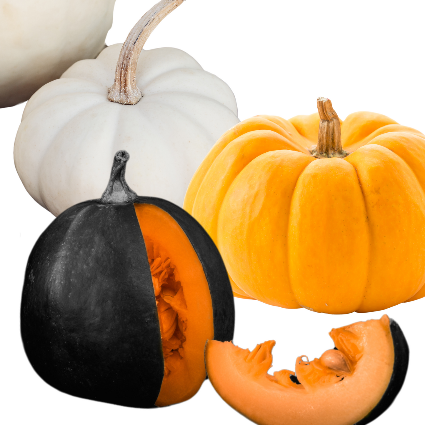 Pumpkin 'Baby Jack Mix'