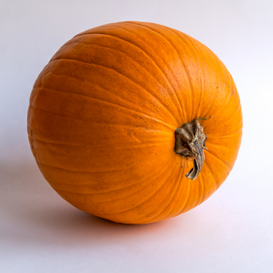 Pumpkin 'Howden'