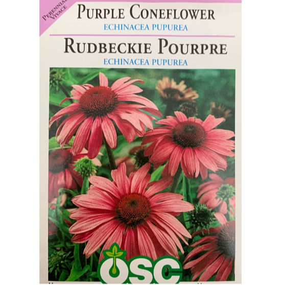 OSC Seeds Coneflower Purple Echinacea Pupurea Pkg