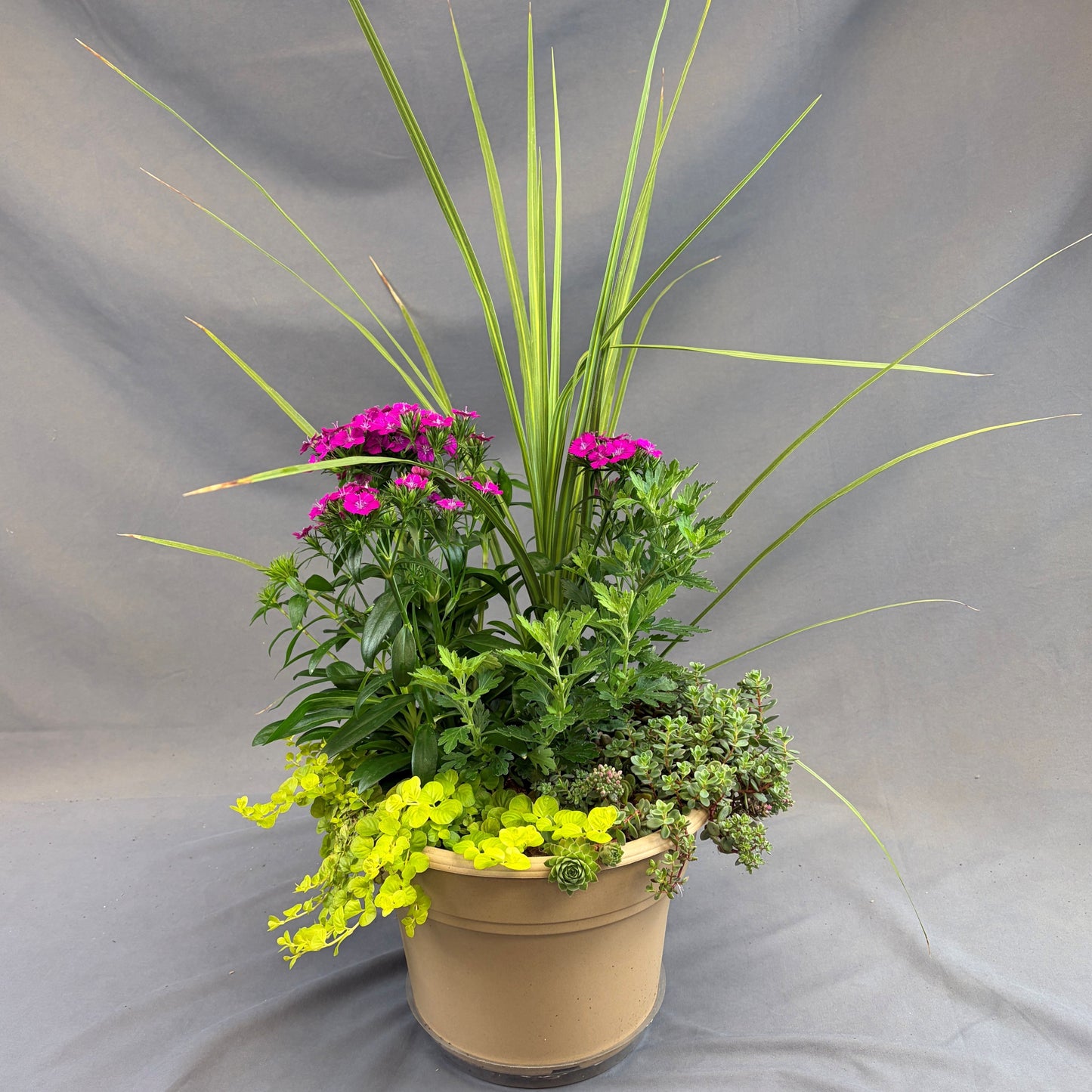 Fall Mixed Planters