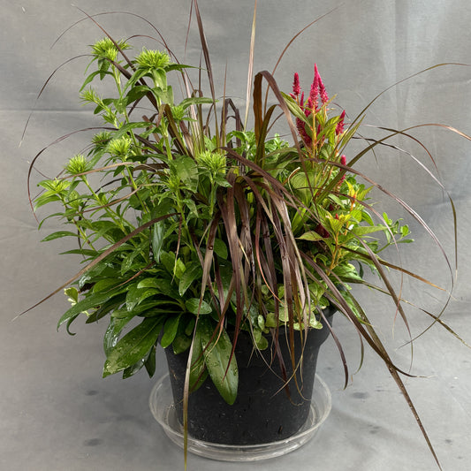 Fall Mixed Planters
