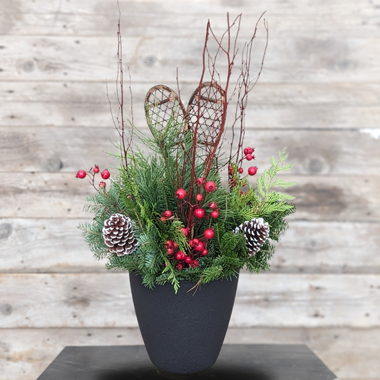 Fresh Christmas Planter 'Snowshoe Season' 12" Pot