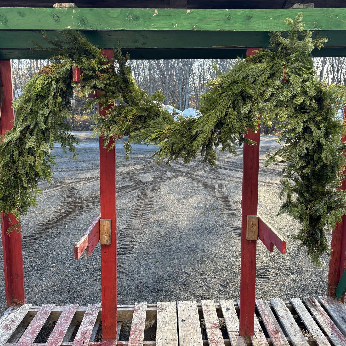Fresh Garland "B" Fir/Pine/BC Cedar & Oregonia 10' Length