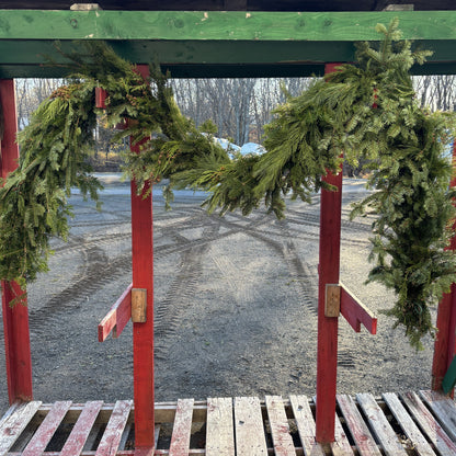 Fresh Garland "B" Fir/Pine/BC Cedar & Oregonia 10' Length