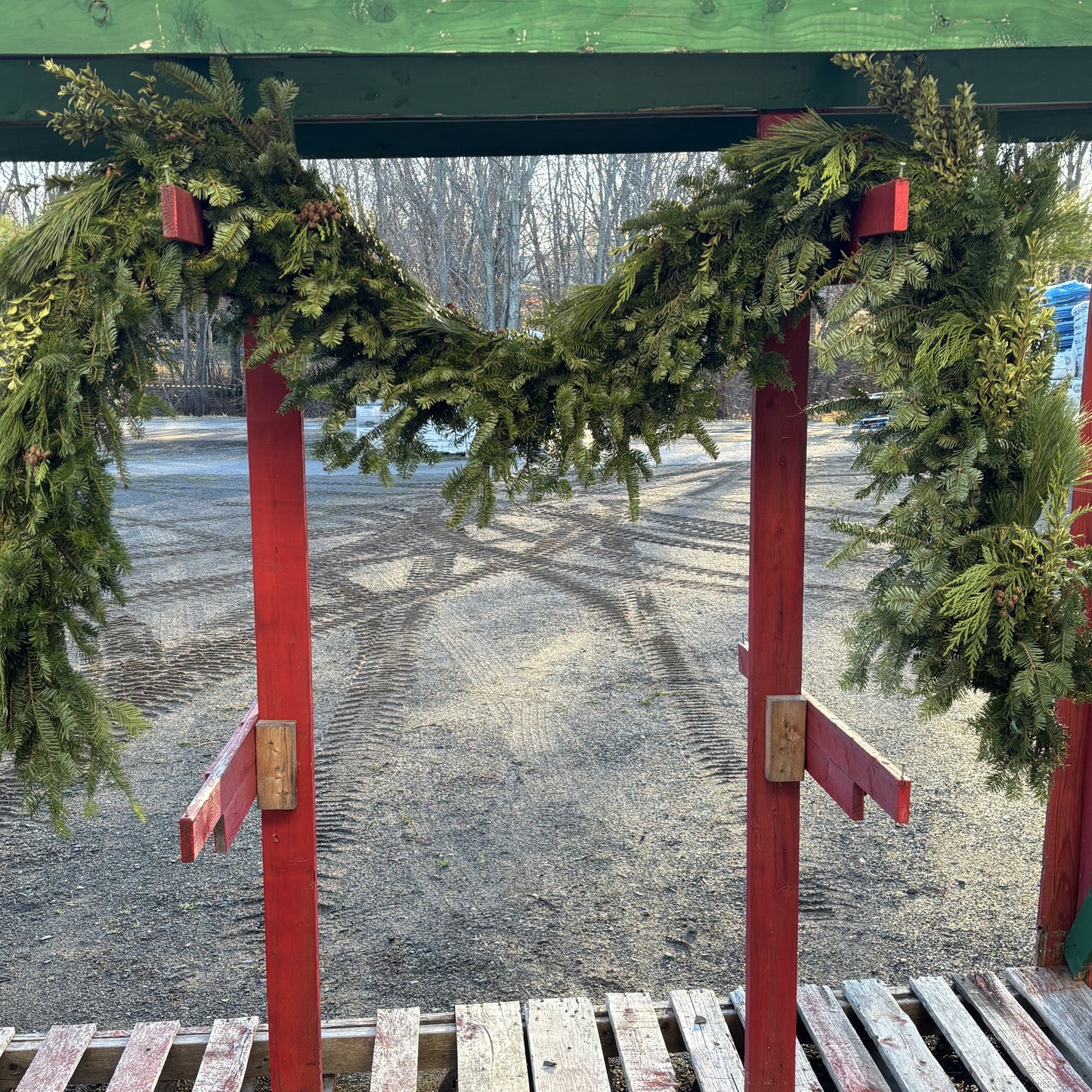 Fresh Garland "A" Mixed 10' Length