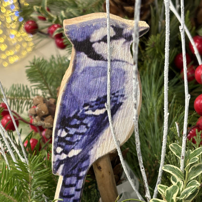 Fresh Greens Centrepiece Bluejay and Berries