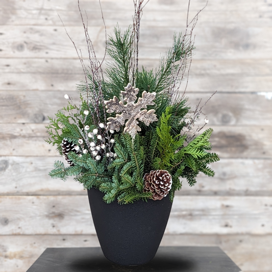 Fresh Christmas Planter 'Winter Wonderland' 12" Pot