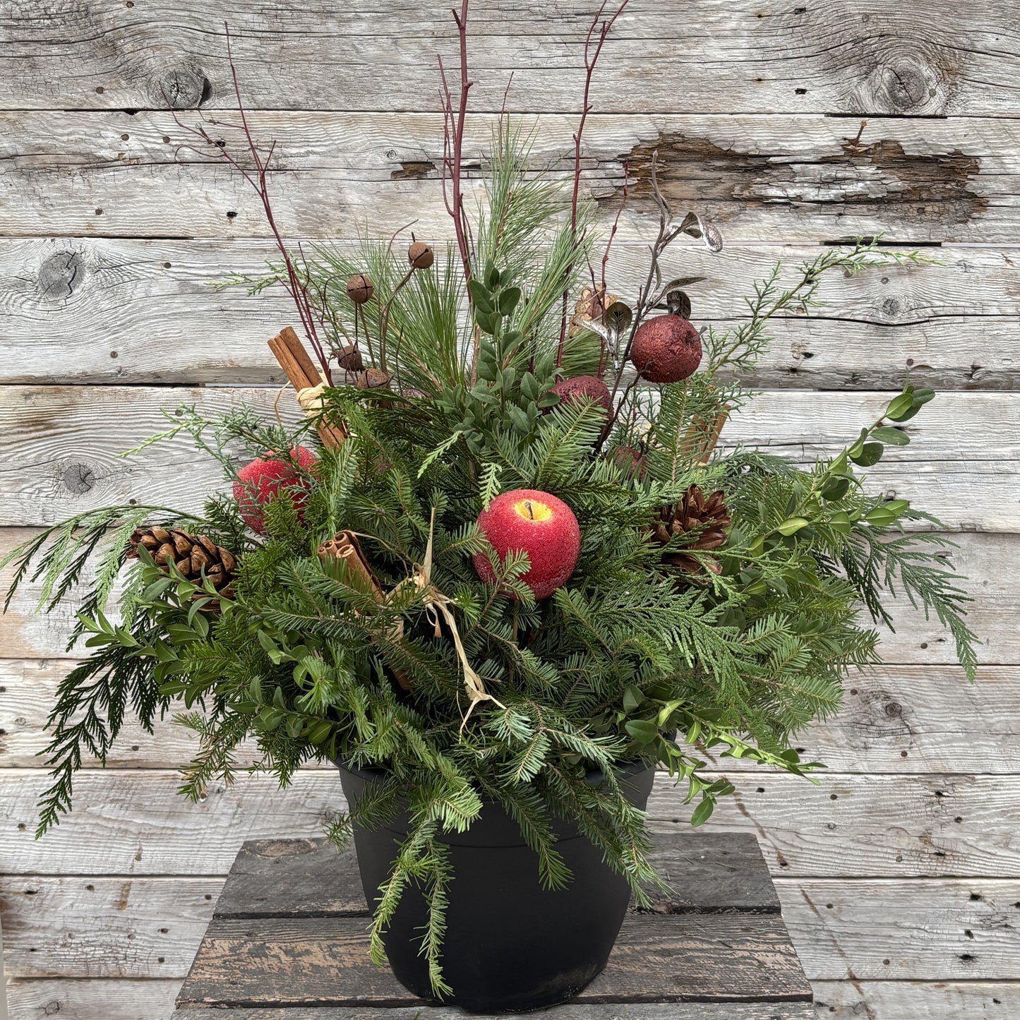 Christmas Planter 'Apples & Cinnamon' 12"