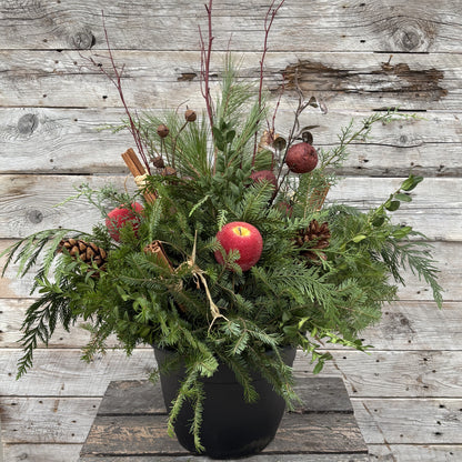 Christmas Planter 'Apples & Cinnamon' 12"