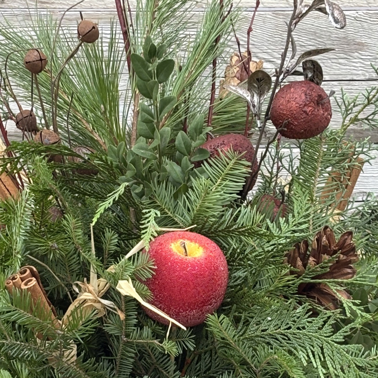 Christmas Planter 'Apples & Cinnamon' 12"