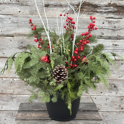 Fresh Christmas Planter 'Classic Christmas' 10"