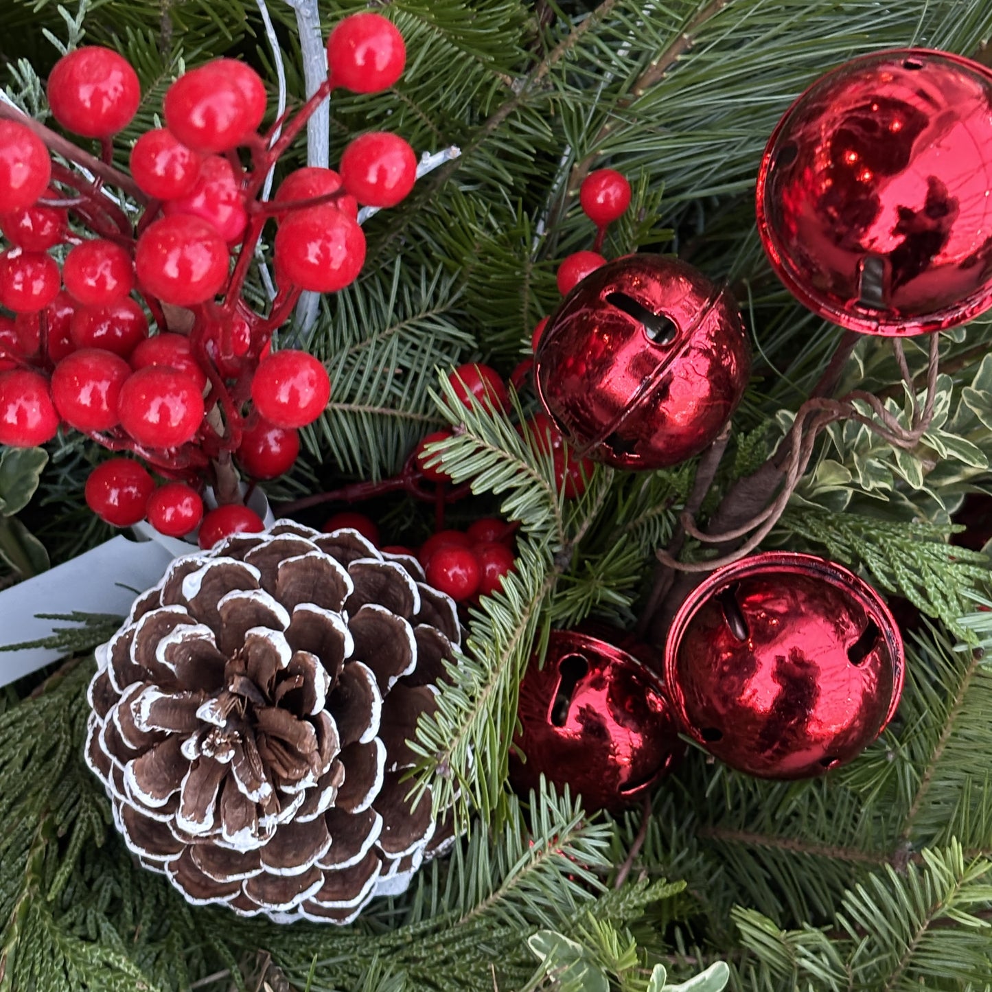 Fresh Christmas Planter 'Classic Christmas' 10"