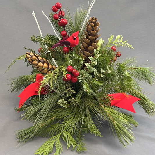 Fresh Greens Centrepiece Cardinal with Cones