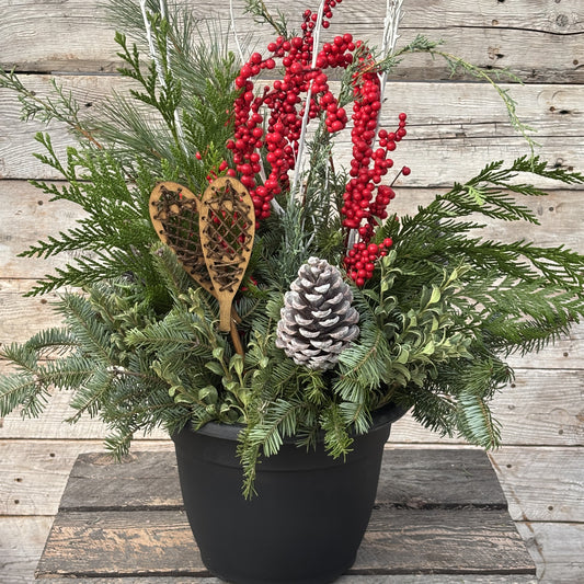 Fresh Christmas Planter 'Snowshoe Season'