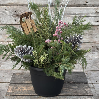 Fresh Christmas Planter 'Sled Season'