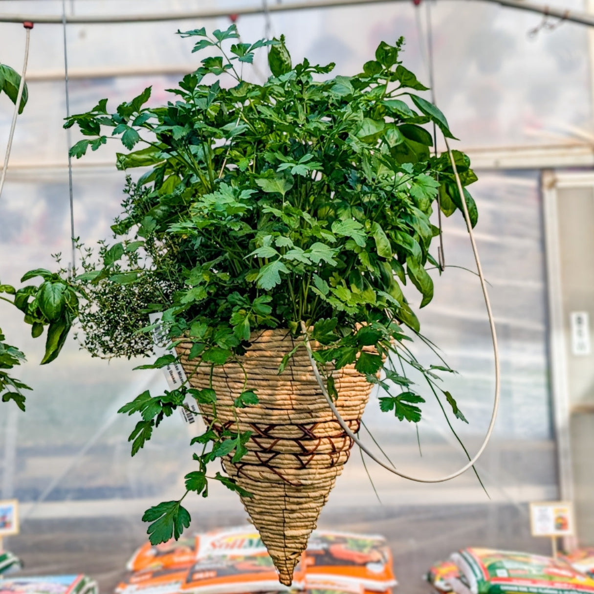 Fresh Herb Planter