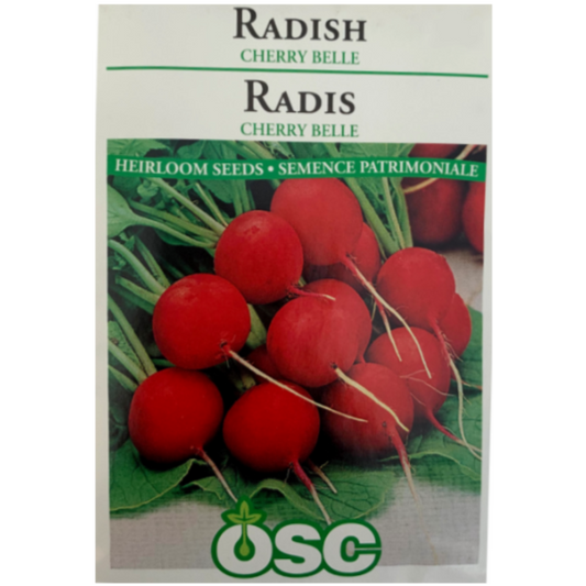 OSC Seeds Radish Cherry Belle Pkg.