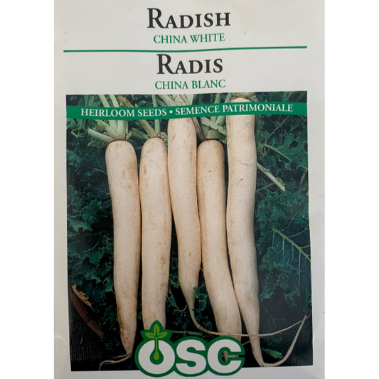 OSC Seeds Radish China White