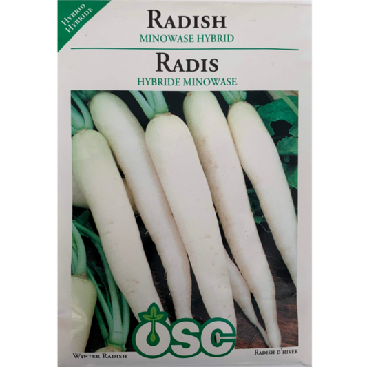 OSC Seeds Radish Minowase Hybrid