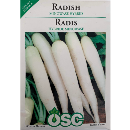 OSC Seeds Radish Minowase Hybrid (Daikon) Pkg.