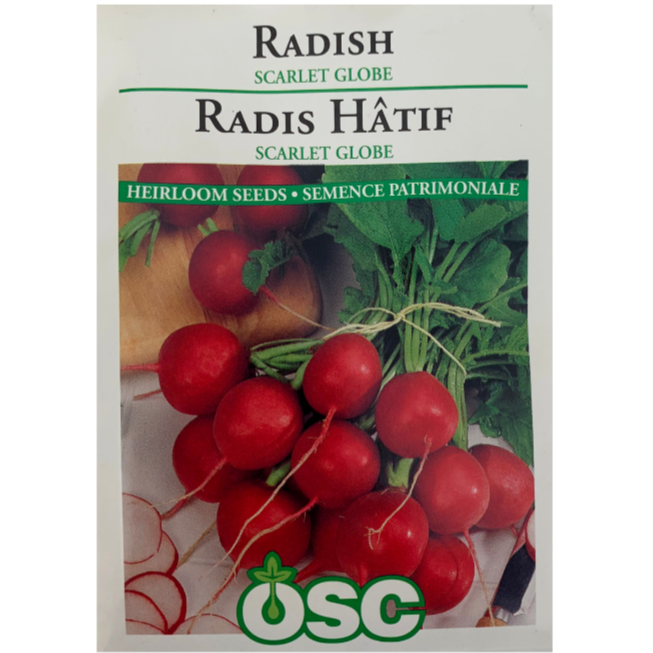 OSC Seeds Radish Scarlet Globe