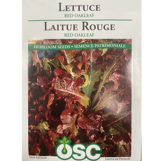 OSC Seeds Lettuce Red Oakleaf Pkg