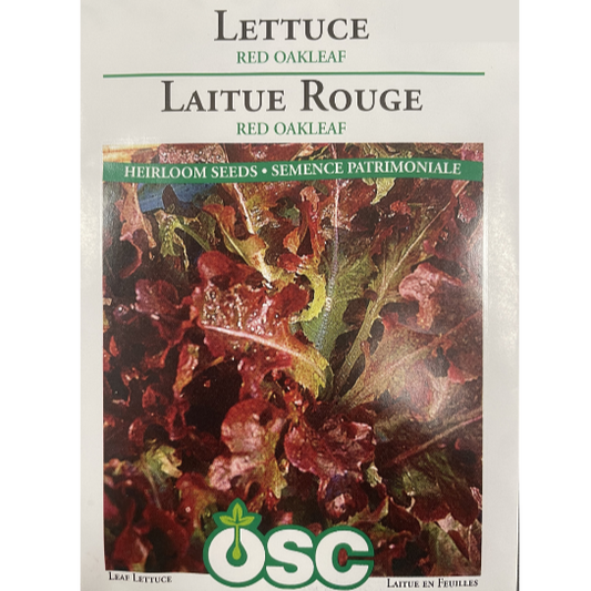 OSC Seeds Lettuce Red Oakleaf Pkg.