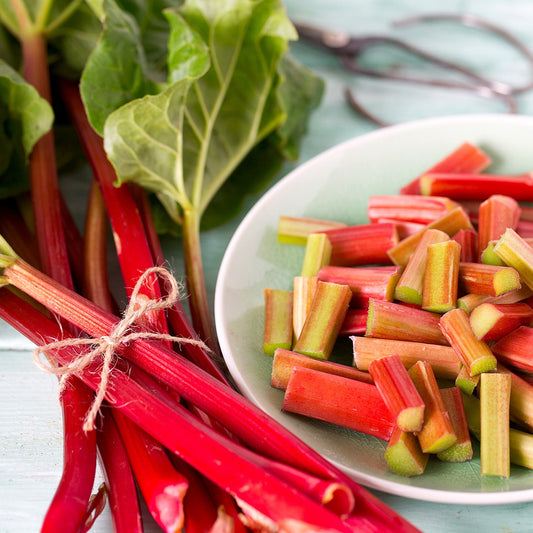 Rhubarb 'Glaskins Perpetual'